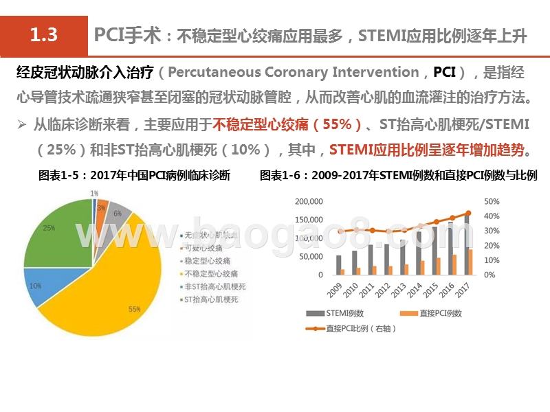 2019可降解心血管支架发展分析报告.pptx_第5页