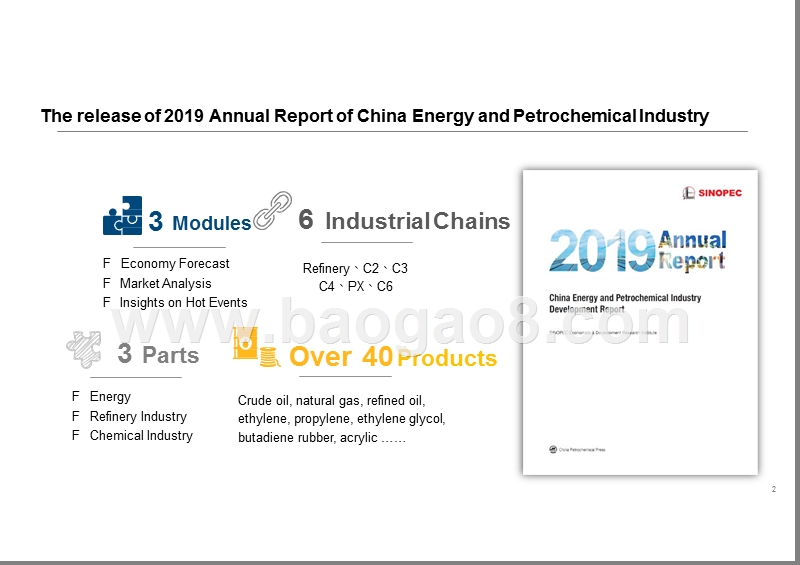 2019中国能源化工产业发展报告4(英文版).pptx_第2页