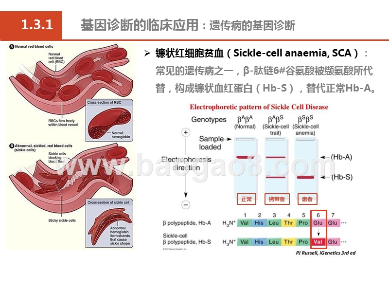 2019医疗行业基因诊断发展分析报告.pptx_第5页
