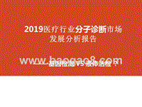 2019医疗行业分子诊断市场发展分析报告.pptx