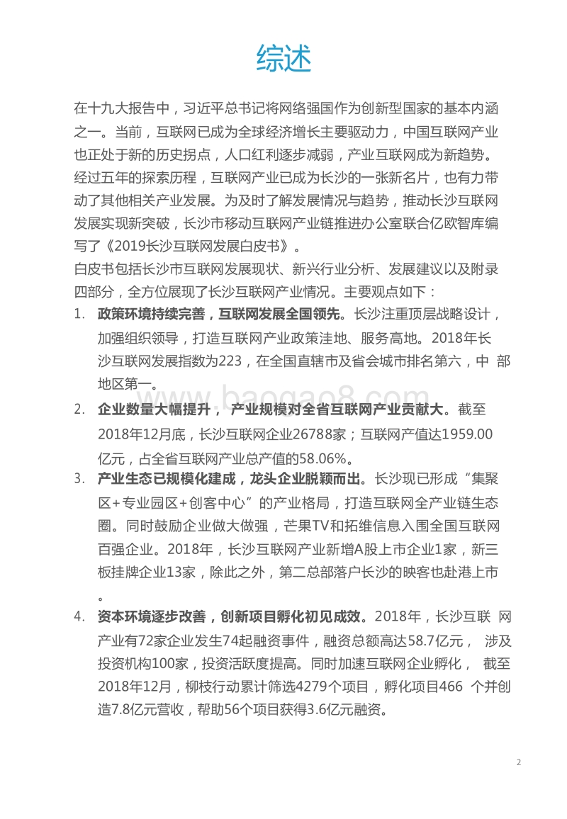 2019长沙互联网发展白皮书.doc_第2页