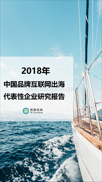中国品牌互联网出海代表性企业报告.pdf