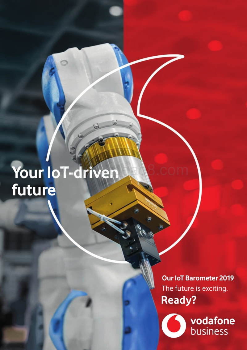 2019年物联网报告.pdf_第1页