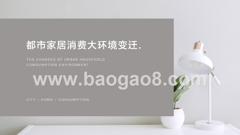 2019年都市家居消费趋势洞察报告.pptx_第4页