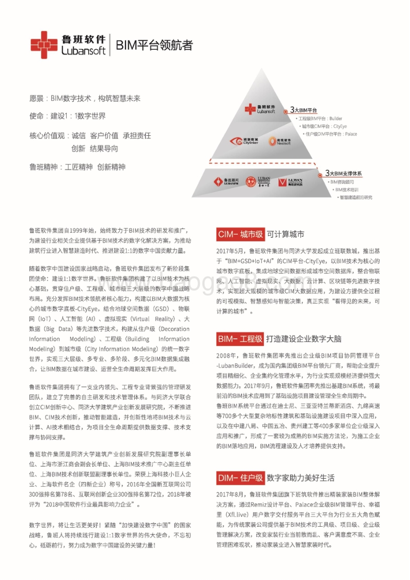 中国建筑业2018回顾与2019展望.pdf_第2页