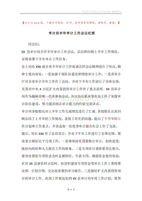 审计局半年审计工作会议纪要.docx