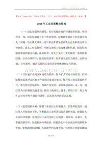 2019年工业发展整改措施.docx