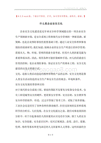 什么是企业安全文化.docx