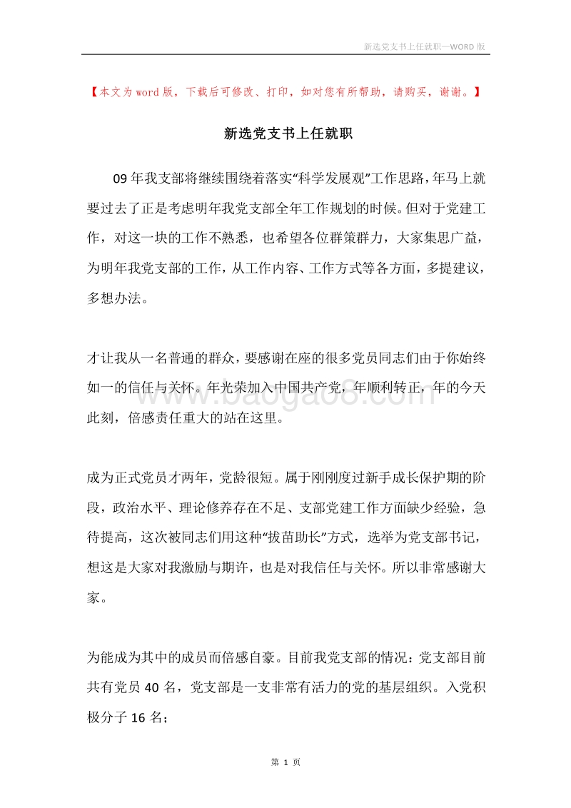 新选党支书上任就职.docx_第1页