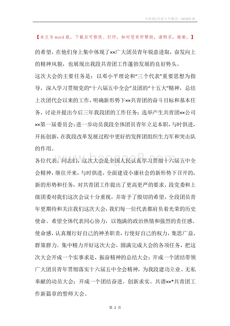 共青团-代表大开幕词.docx_第2页