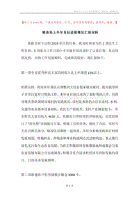 粮食局上半年目标进展情况汇报材料.docx