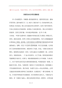 珍爱生命文明交通演说.docx