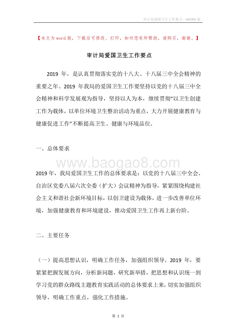 审计局爱国卫生工作要点.docx_第1页