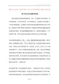 班子民主会自我批评范例.docx