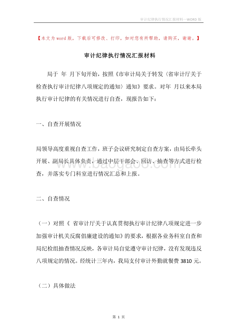 审计纪律执行情况汇报材料.docx_第1页