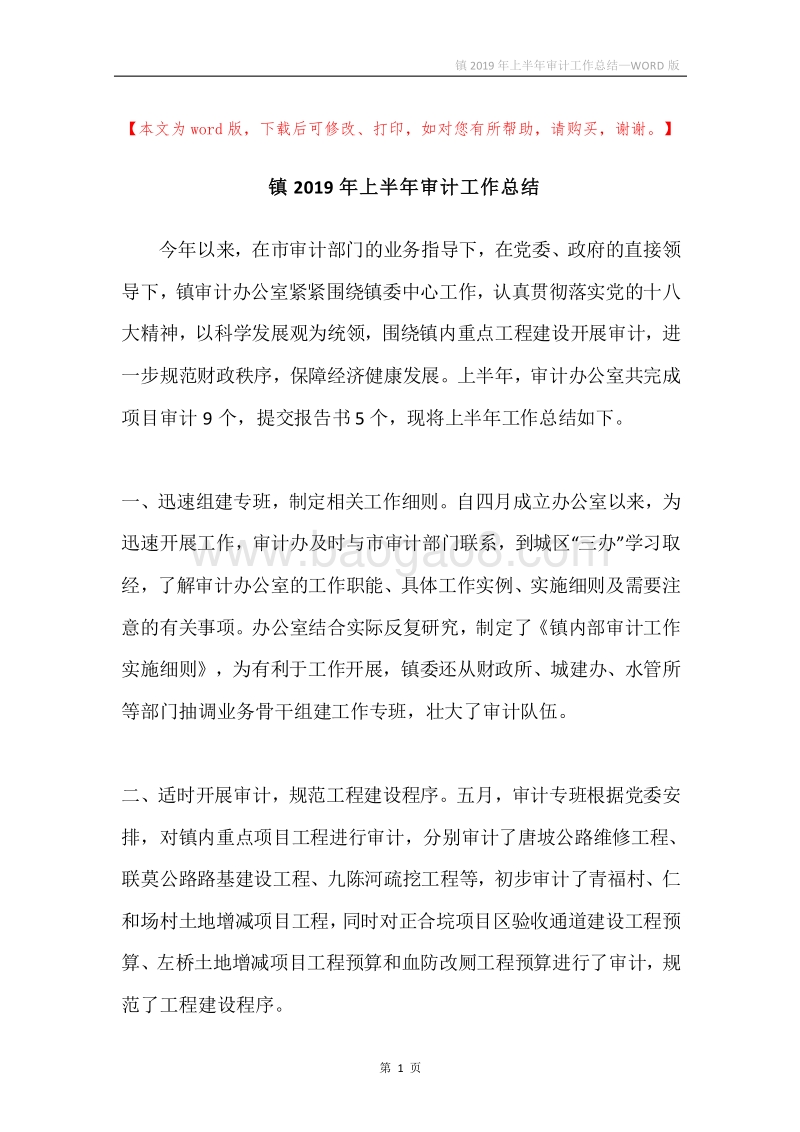 镇2019年上半年审计工作总结.docx_第1页