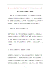 盐业分公司安全生产工作小结.docx
