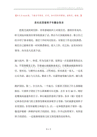 县长在四套班子专题会发言.docx