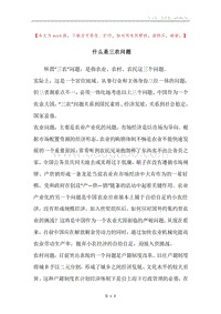 什么是三农问题_1.docx