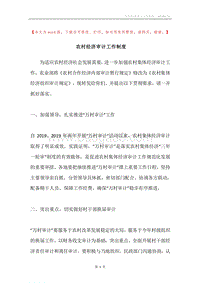 农村经济审计工作制度.docx