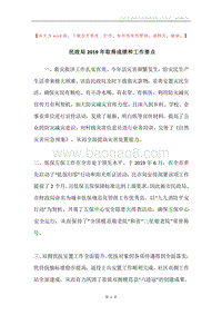 民政局2019年取得成绩和工作要点.docx