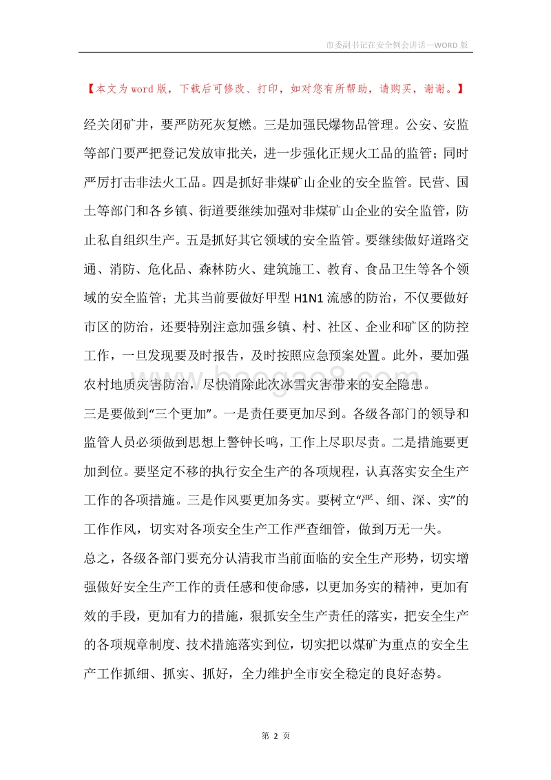市委副书记在安全例会讲话.docx_第2页