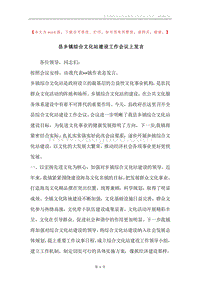 县乡镇综合文化站建设工作会议上发言.docx