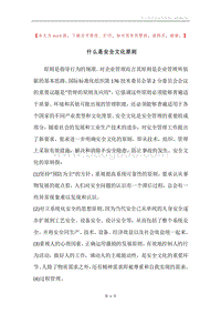 什么是安全文化原则.docx