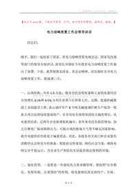 电力迎峰度夏工作会领导讲话.docx