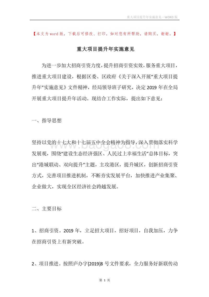 重大项目提升年实施意见.docx_第1页