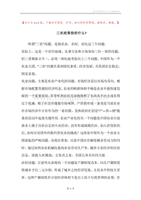 三农政策指的什么-.docx