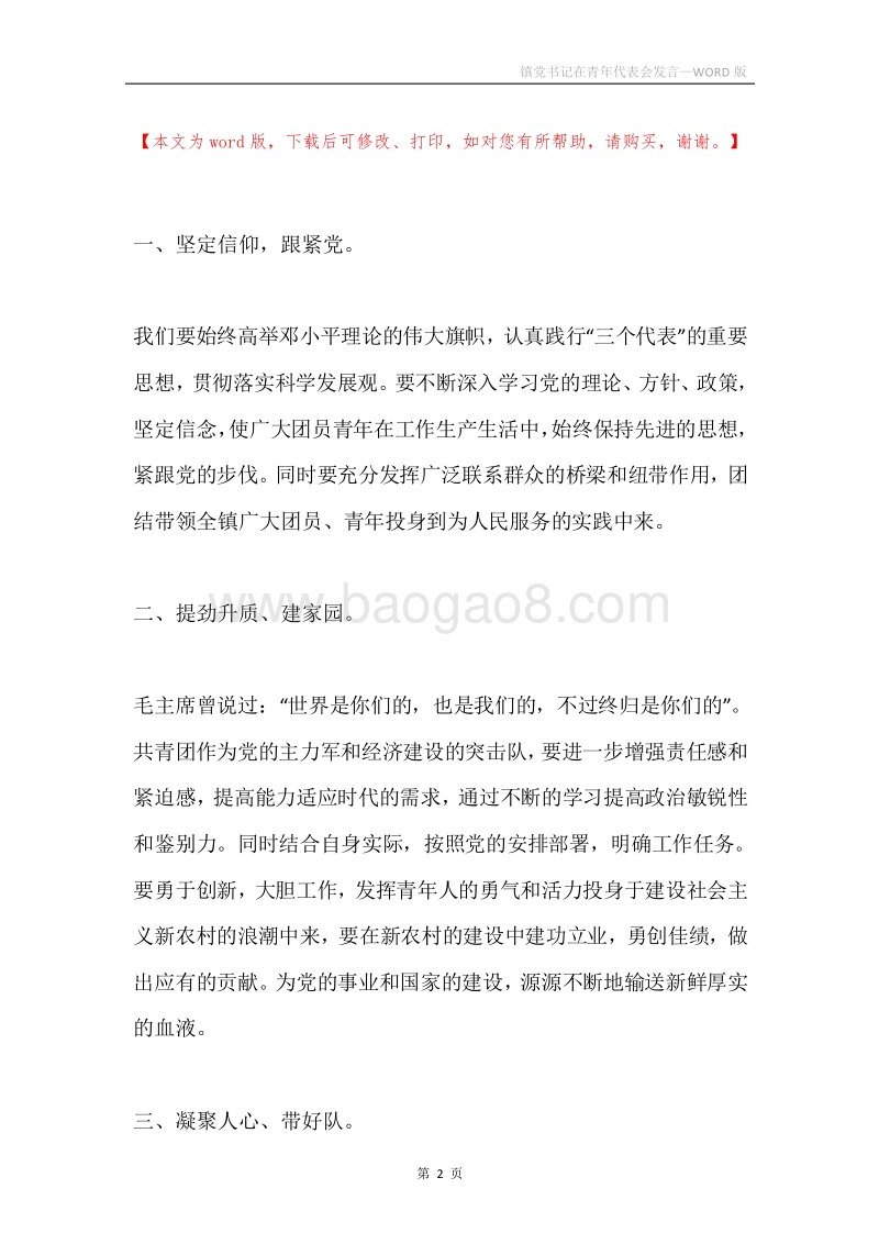 镇党书记在青年代表会发言.docx_第2页