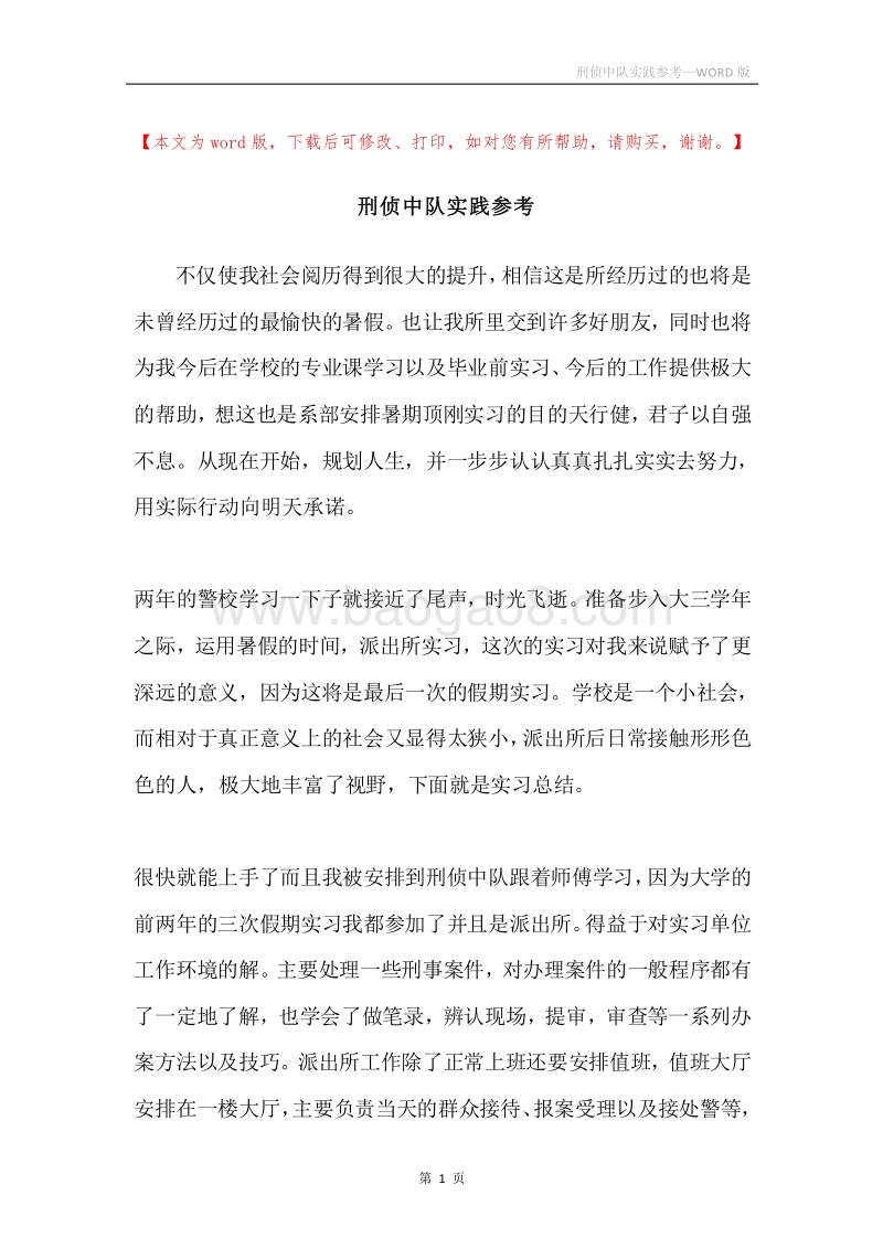 刑侦中队实践参考.docx_第1页