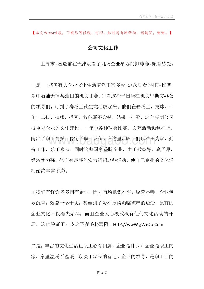 公司文化工作.docx_第1页
