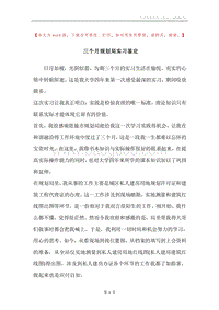 三个月规划局实习鉴定.docx