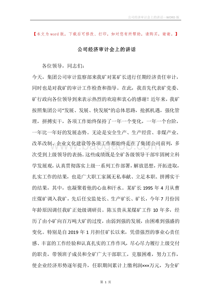 公司经济审计会上的讲话.docx_第1页