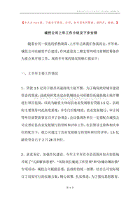 城投公司上年工作小结及下步安排.docx