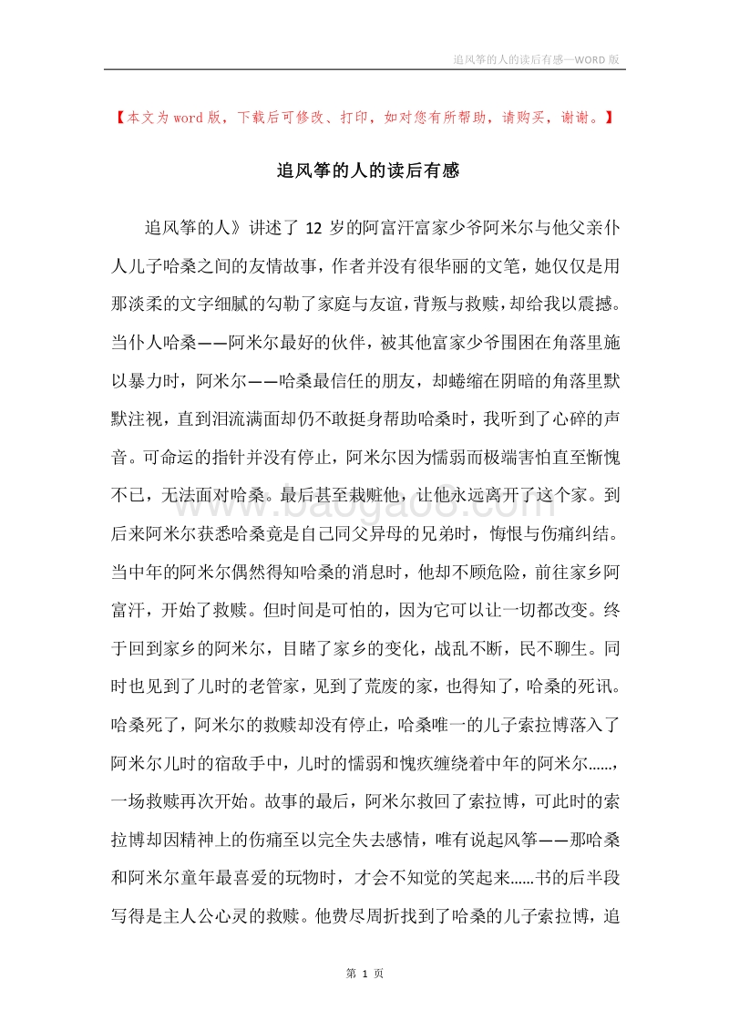 追风筝的人的读后有感.docx_第1页