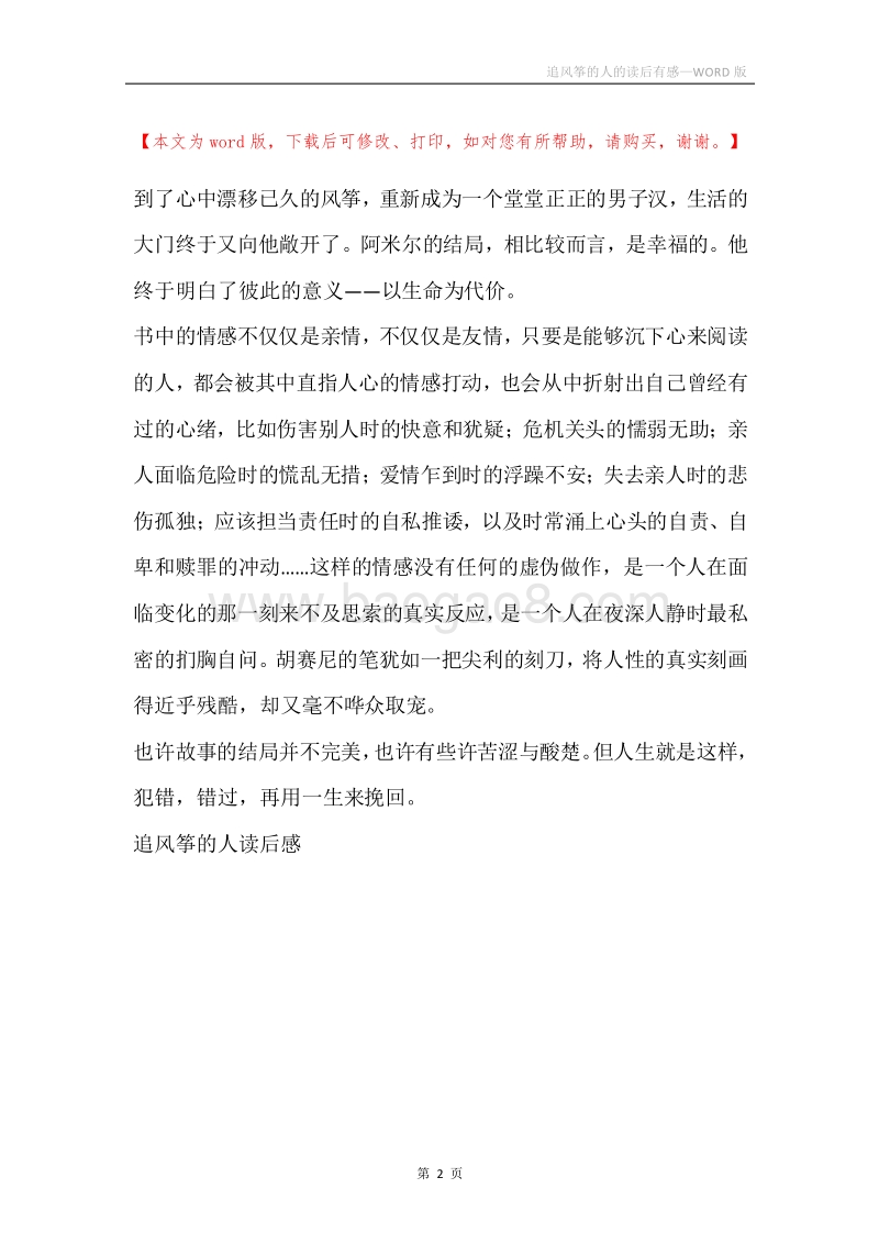 追风筝的人的读后有感.docx_第2页