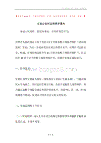 市政办农村公路养护通知.docx