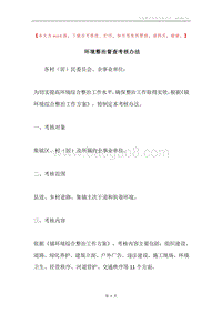环境整治督查考核办法.docx