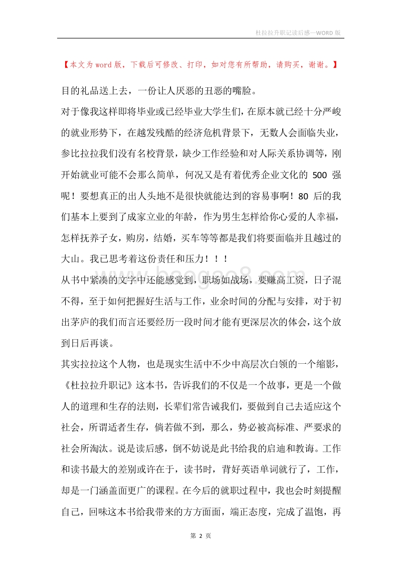 杜拉拉升职记读后感.docx_第2页