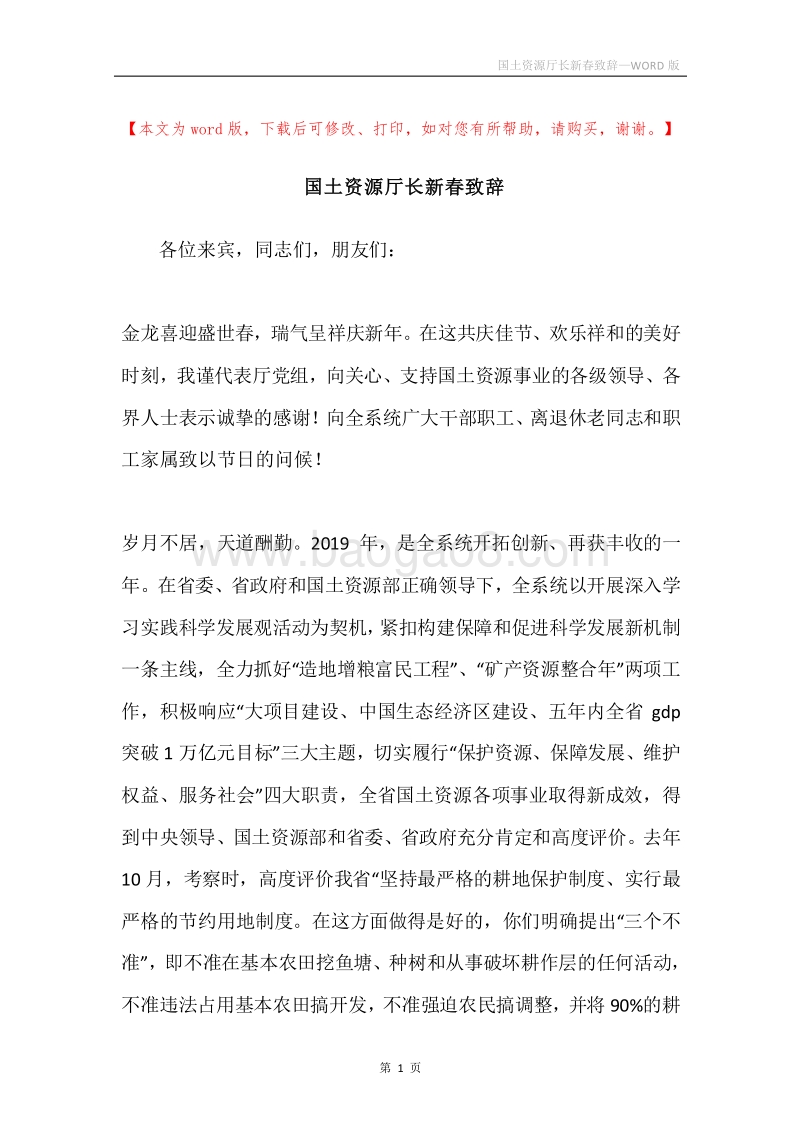 国土资源厅长新春致辞.docx_第1页