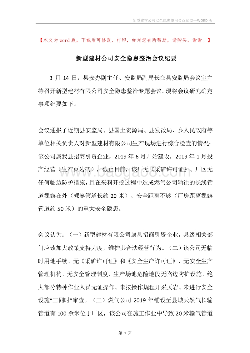新型建材公司安全隐患整治会议纪要.docx_第1页