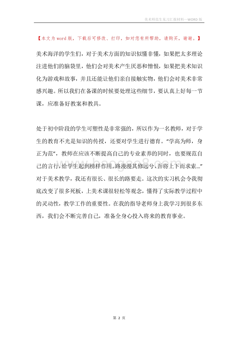 美术师范生见习汇报材料.docx_第2页