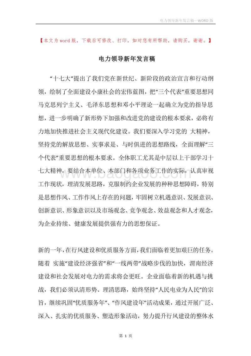 电力领导新年发言稿.docx_第1页