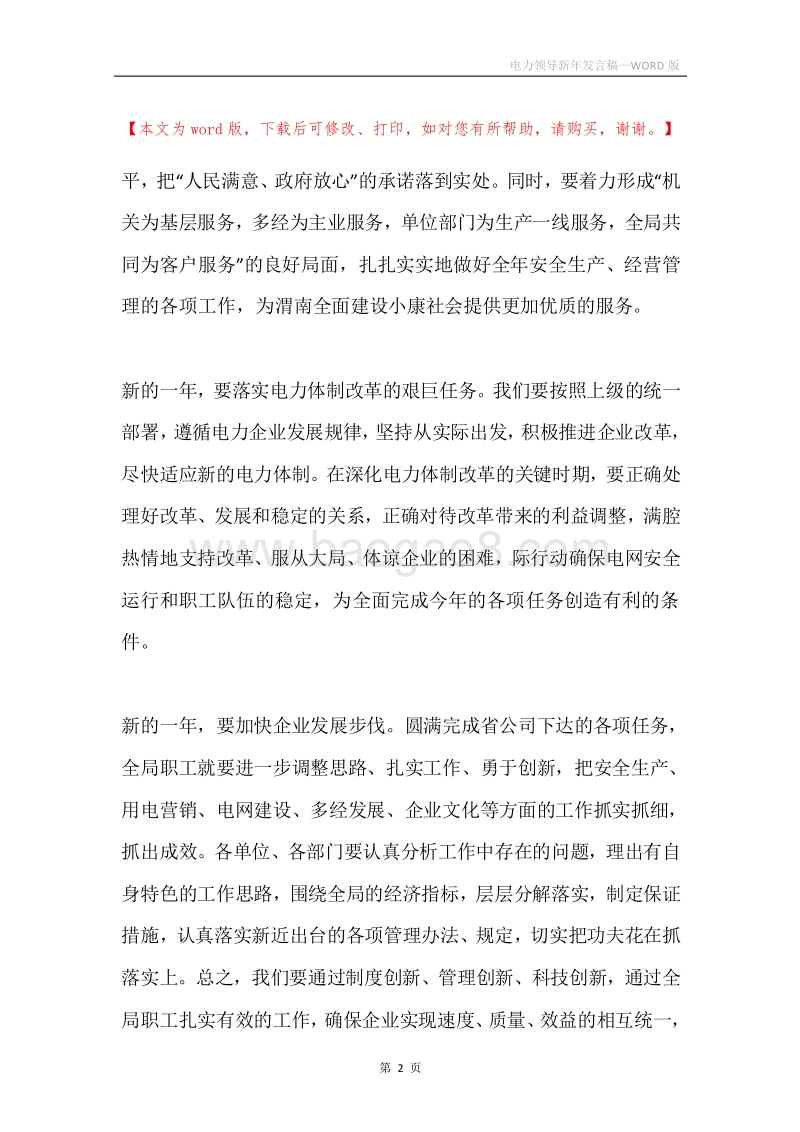 电力领导新年发言稿.docx_第2页