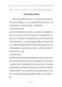 举办室外婚礼庆典策划.docx