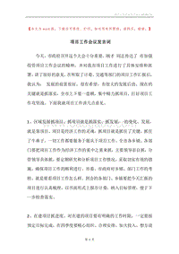 项目工作会议发言词.docx