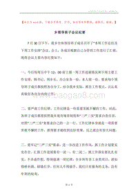 乡领导班子会议纪要.docx